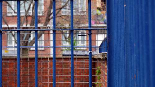 Close-up of metal fence against building