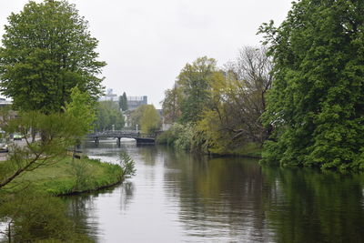 Scenic view of river by trees against sky