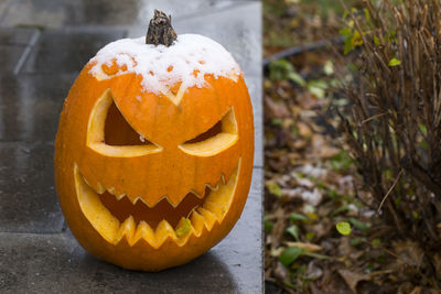 Close-up of halloween pumpkin