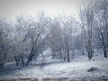 winter