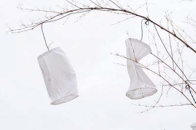 Clothes hanging on tree