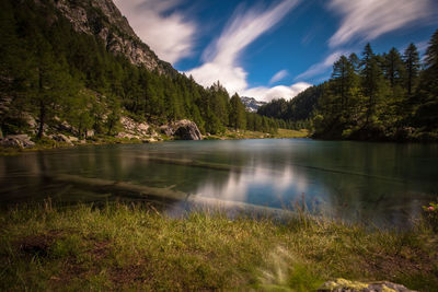 Scenic view of lake with trees in background