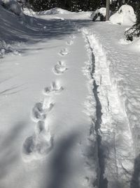 High angle view of frozen water on land