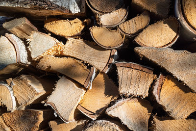 Full frame shot of logs in forest