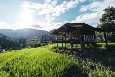 House on field against sky