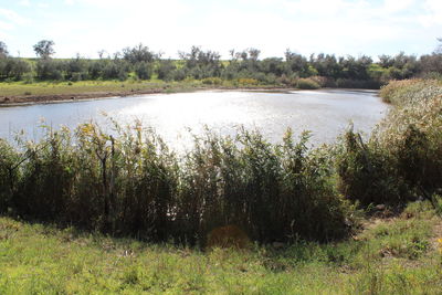 Scenic view of lake against sky