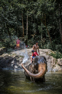 People in river against trees in forest