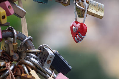 Close-up of padlocks hanging on metal