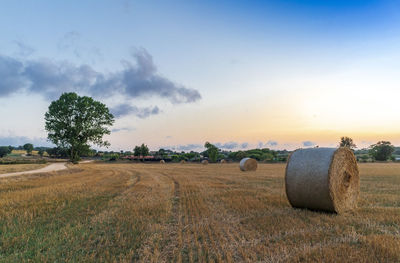 Rural village with straw bales at sunset on the mediterranean coast