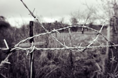 Close-up of barbed wire