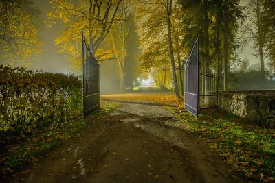 Footpath amidst trees in park during autumn