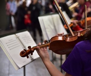 Cropped image of woman playing violin