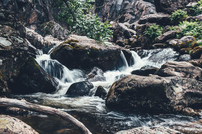 Scenic view of waterfall in forest