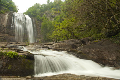 Scenic view of waterfall in forest