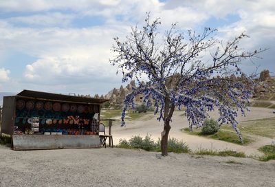 Trees on landscape against sky