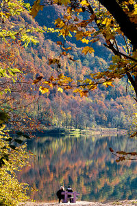 High angle view of autumn tree