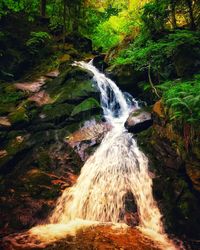 Waterfall in forest