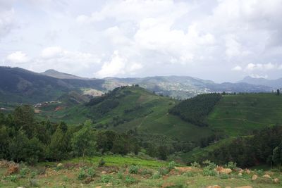 Scenic view of landscape against sky