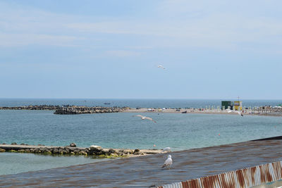 Seagull flying over sea against sky