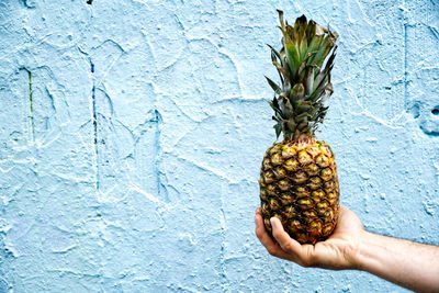 Midsection of man holding fruit against wall