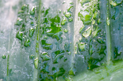 Close-up of frozen water against white background