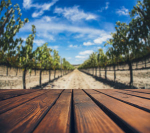 Surface level of boardwalk against sky