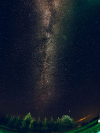 Low angle view of trees against sky at night