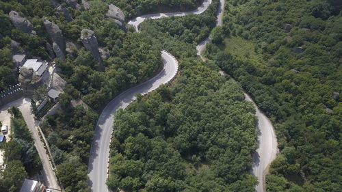 High angle view of road amidst trees in forest