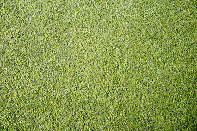 Full frame shot of soccer field