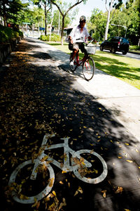 People riding bicycle on road