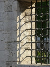 wall
