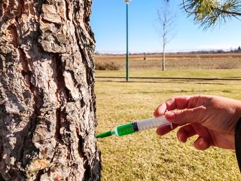 Cropped hand injecting syringe on tree trunk