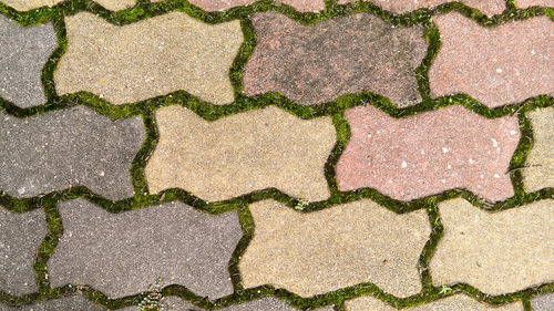 Full frame shot of rice paddy