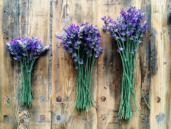 Directly above view of lavenders on table