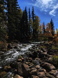 Scenic view of stream flowing through rocks in forest against sky