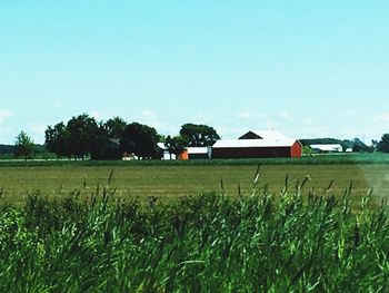 Scenic view of grassy field against sky