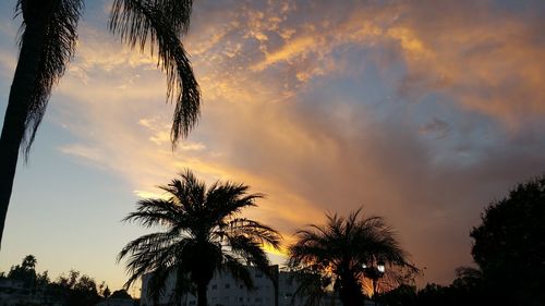 Silhouette of palm trees against cloudy sky