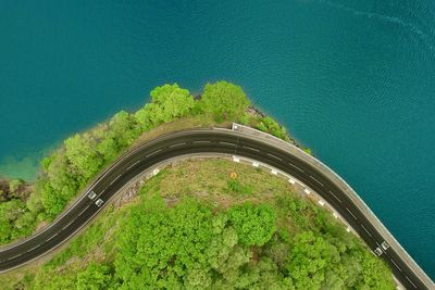 High angle view of green plants against blue sky