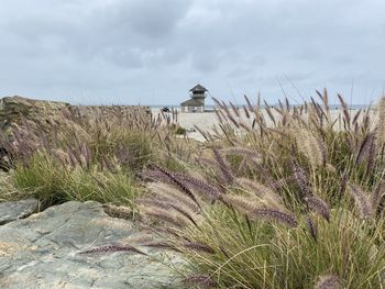 Low angle view of bird perching on rock against sky