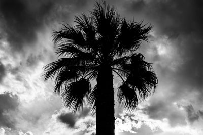 Low angle view of tree against sky