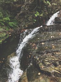 Scenic view of waterfall in forest