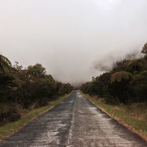 Road amidst trees against clear sky