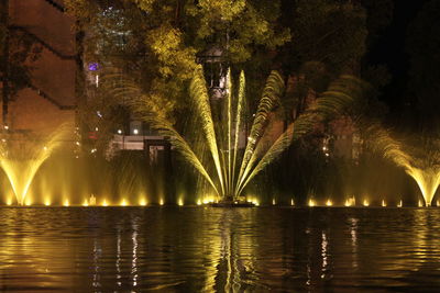 Illuminated christmas tree at night