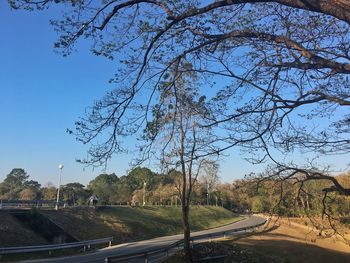 Road by trees against clear sky