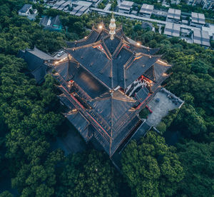 High angle view of illuminated tree by building