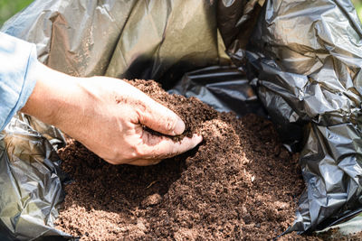 Cropped image of man working