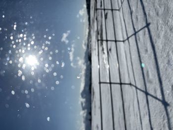 Low angle view of plants against sky during winter