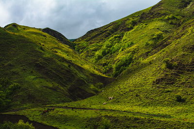 Scenic view of mountains against cloudy sky