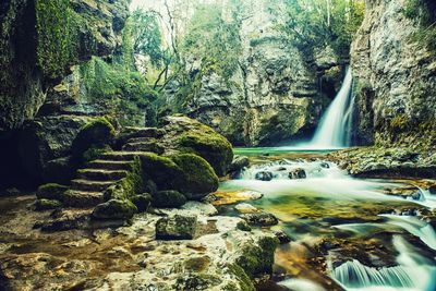 Scenic view of waterfall in forest