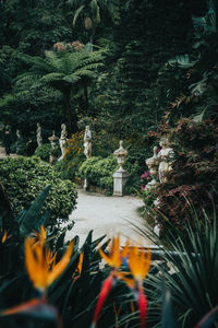 Statue of flowering plants in park